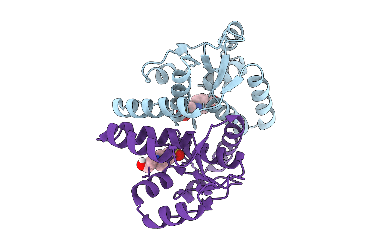 5ECD image