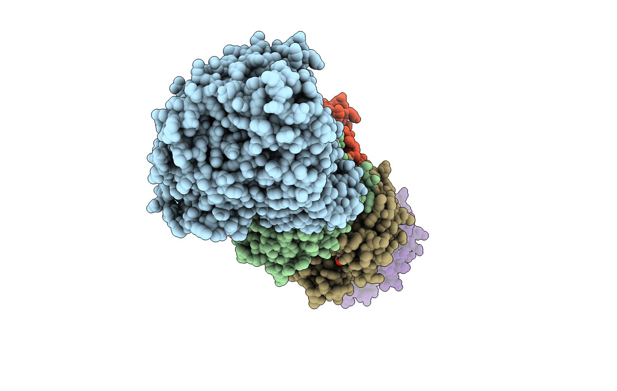 5ECM image