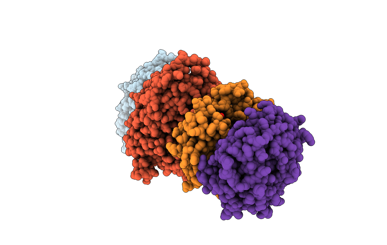 5ECN image