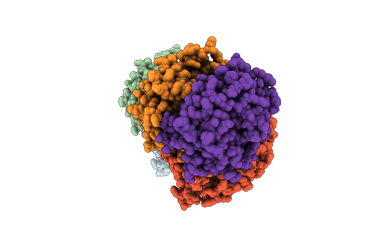 5ECP image