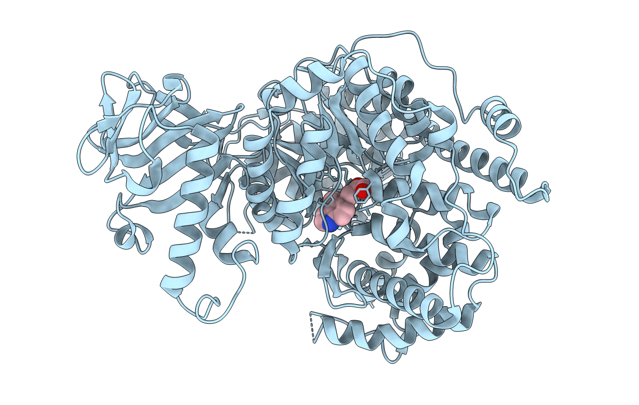 5ECV image