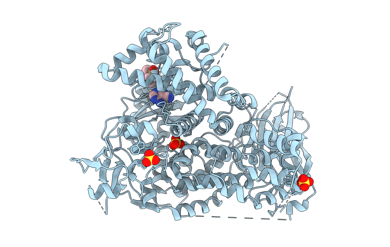 5EDS image