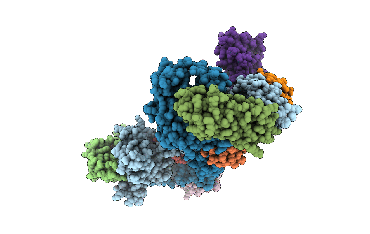 5EDV image