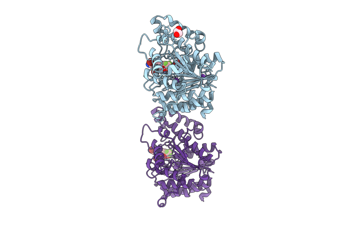 5EFH image