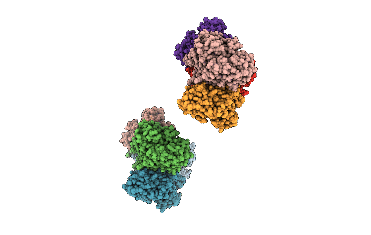 5EIG image