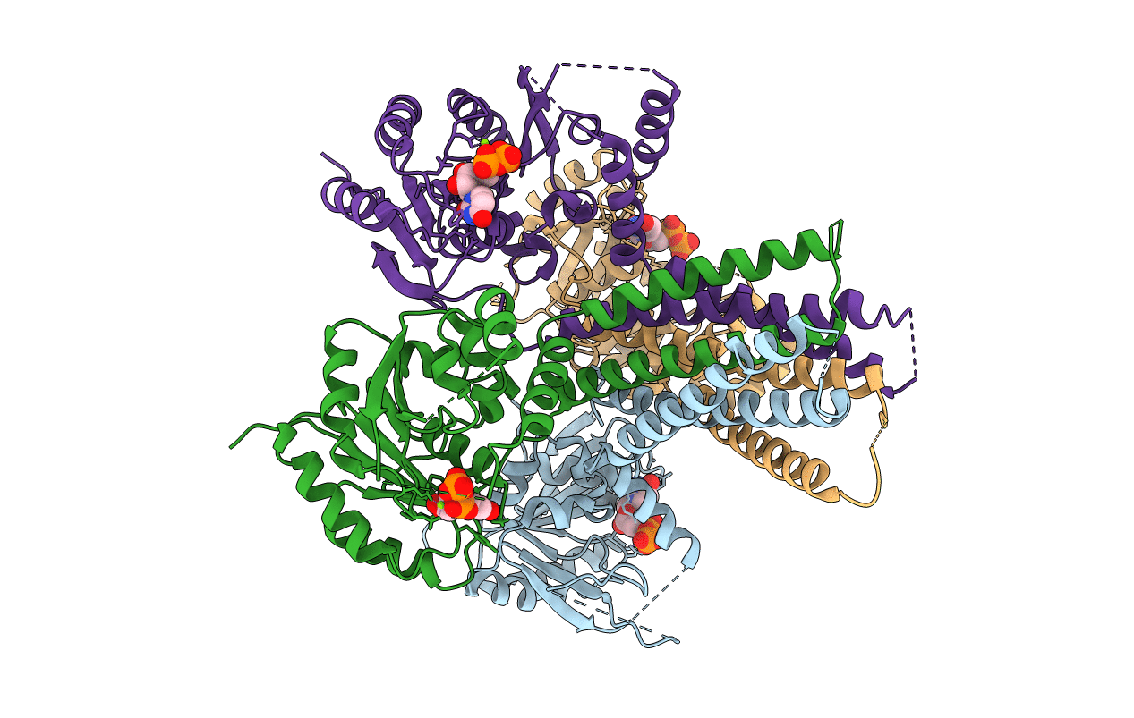 5EKP image