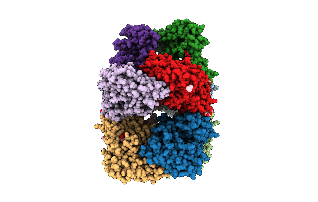 5EOM image