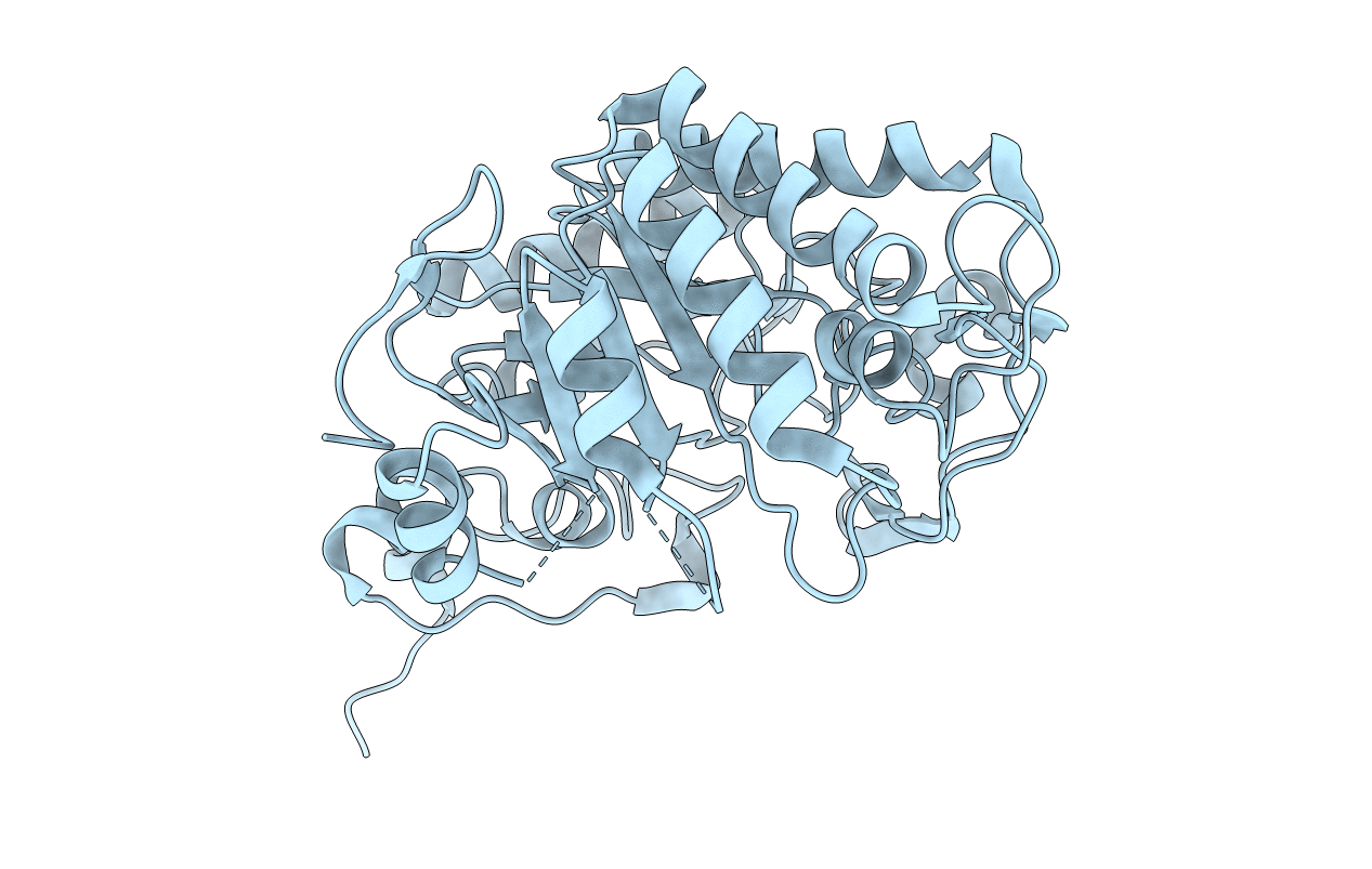 5EPD image