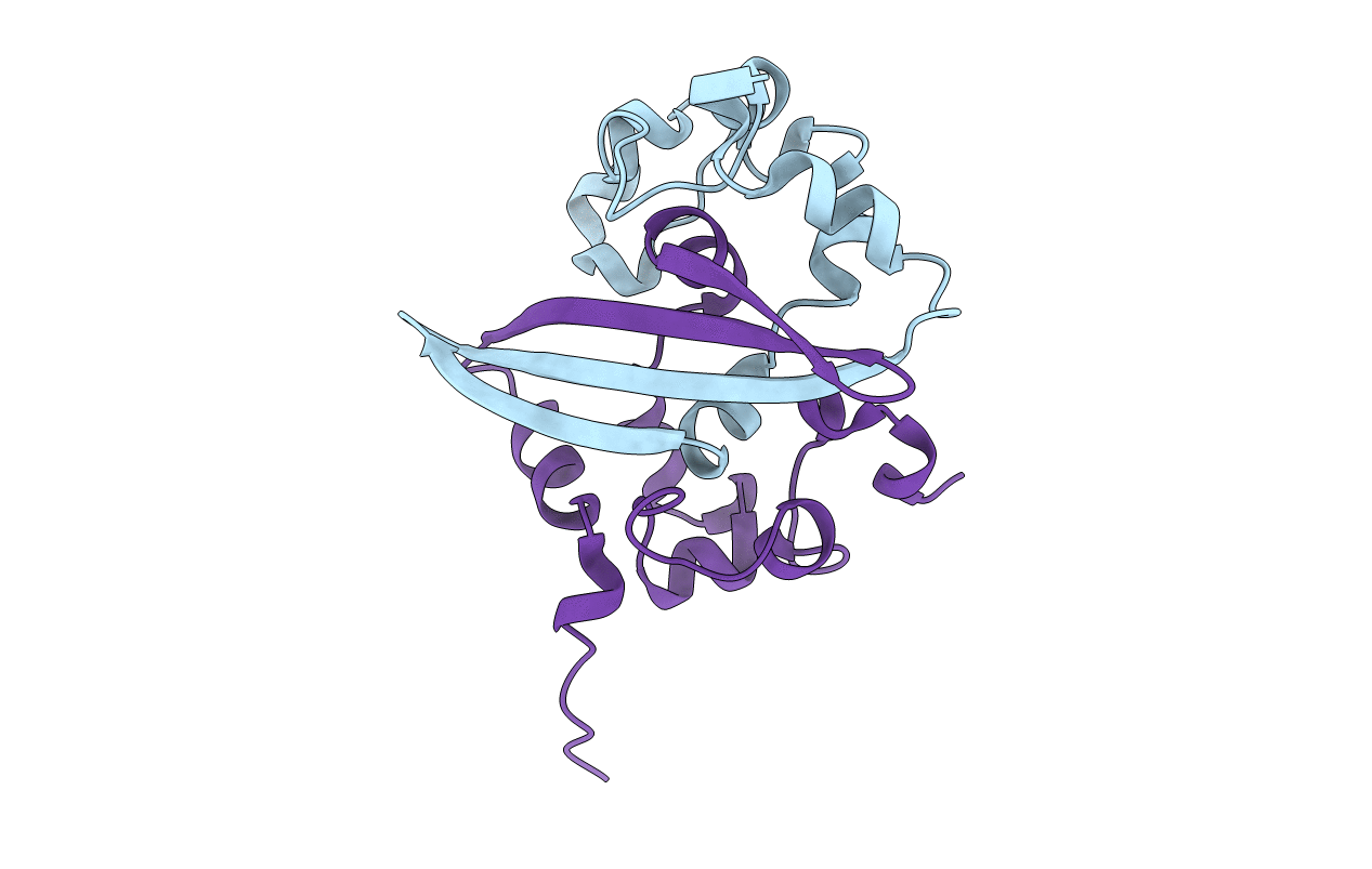 5EPW image