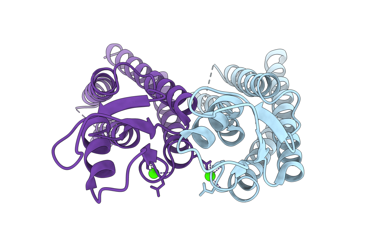 5ER7 image