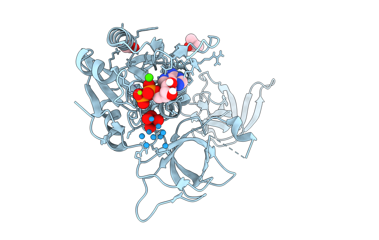 5ERV image