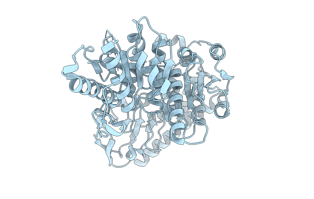 5ERX image