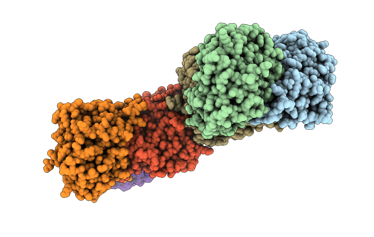 5ETJ image