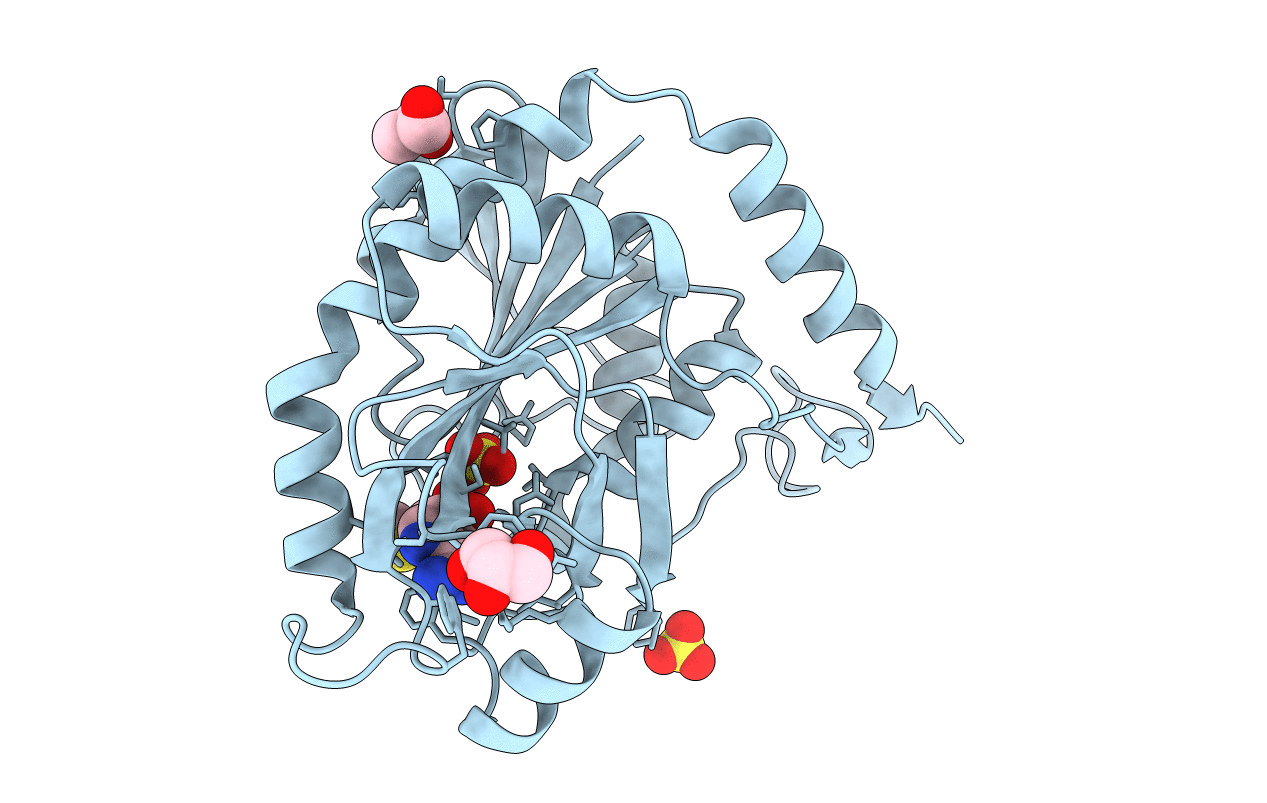 5EUB image