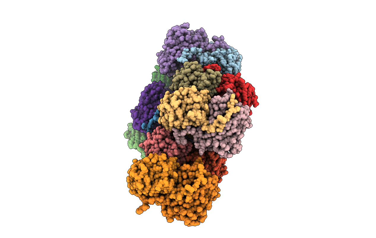 5EXB image