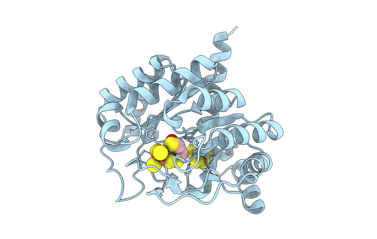 5EXJ image