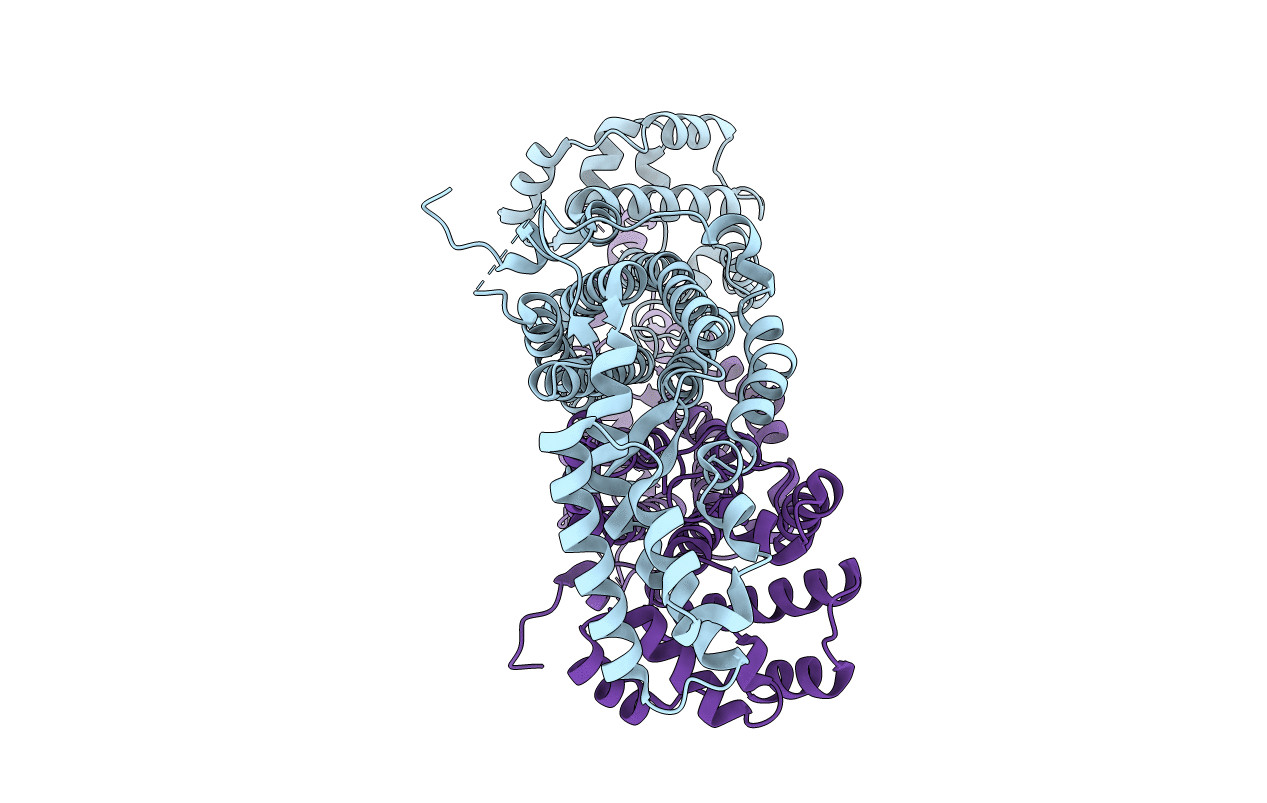 5EYV image