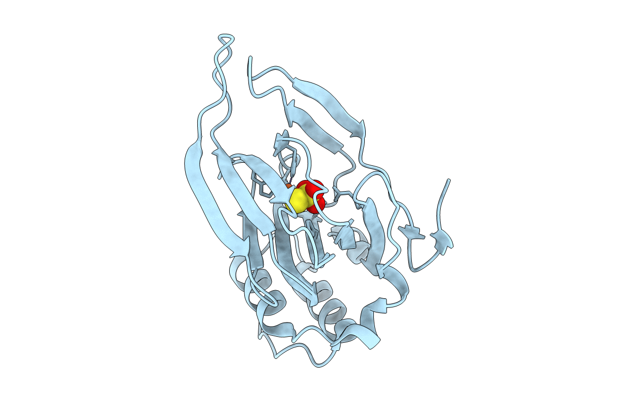 5EZW image