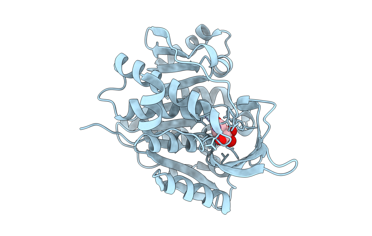 5F11 image