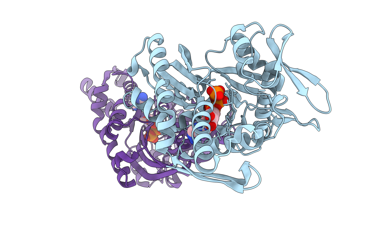 5F1X image