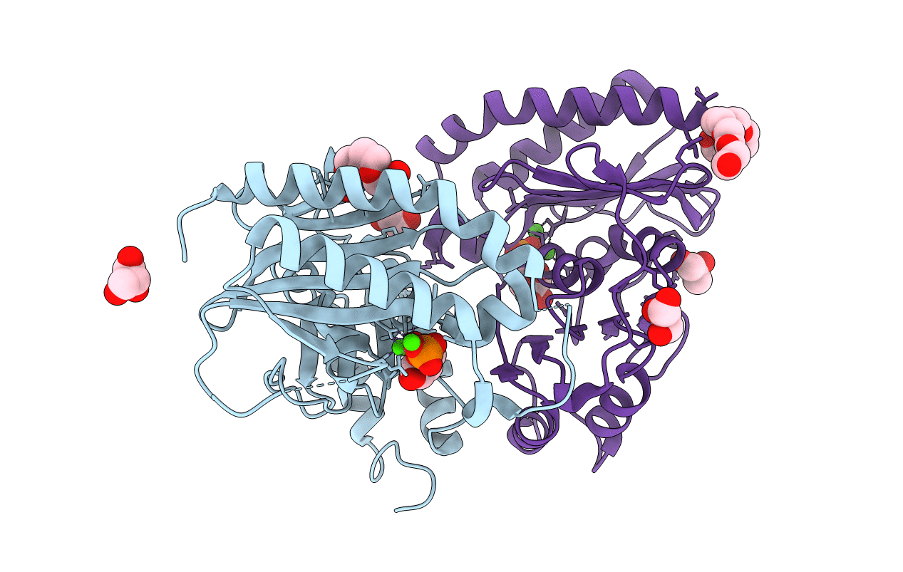5F24 image