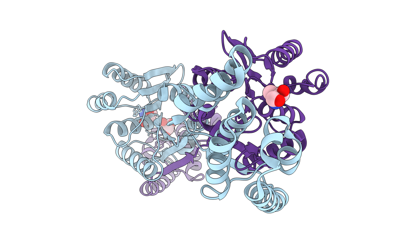 5F2H image