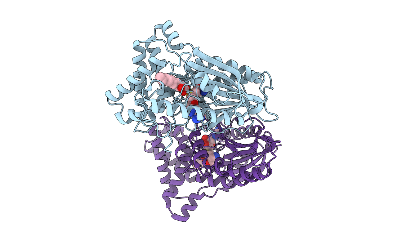 5F2N image