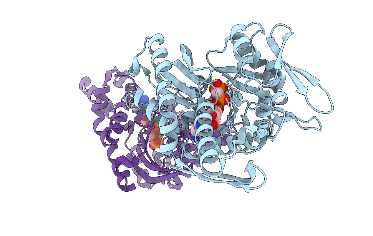 5F2R image