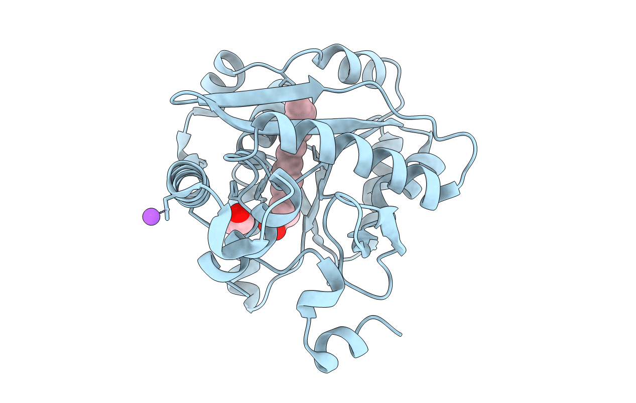 5F31 image