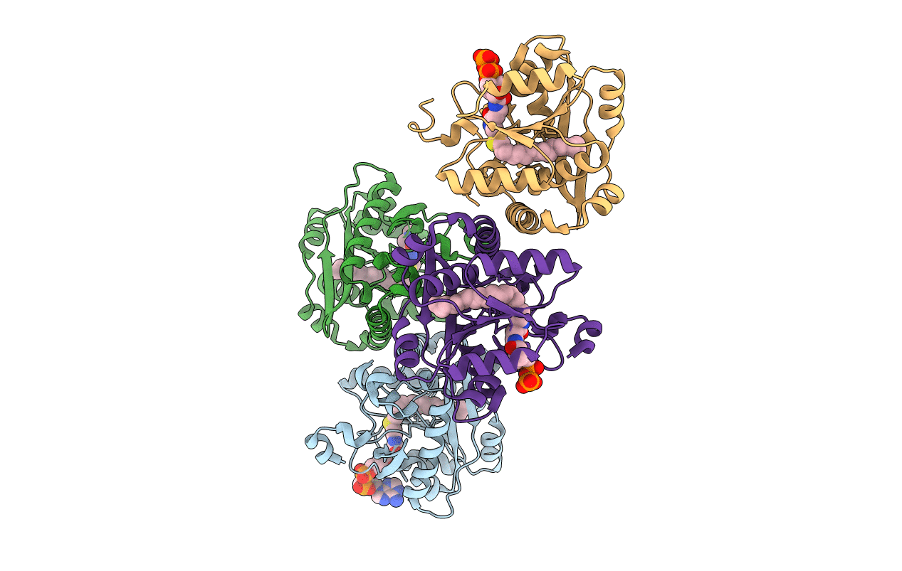 5F34 image