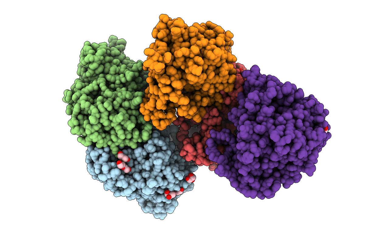 5F4Z image