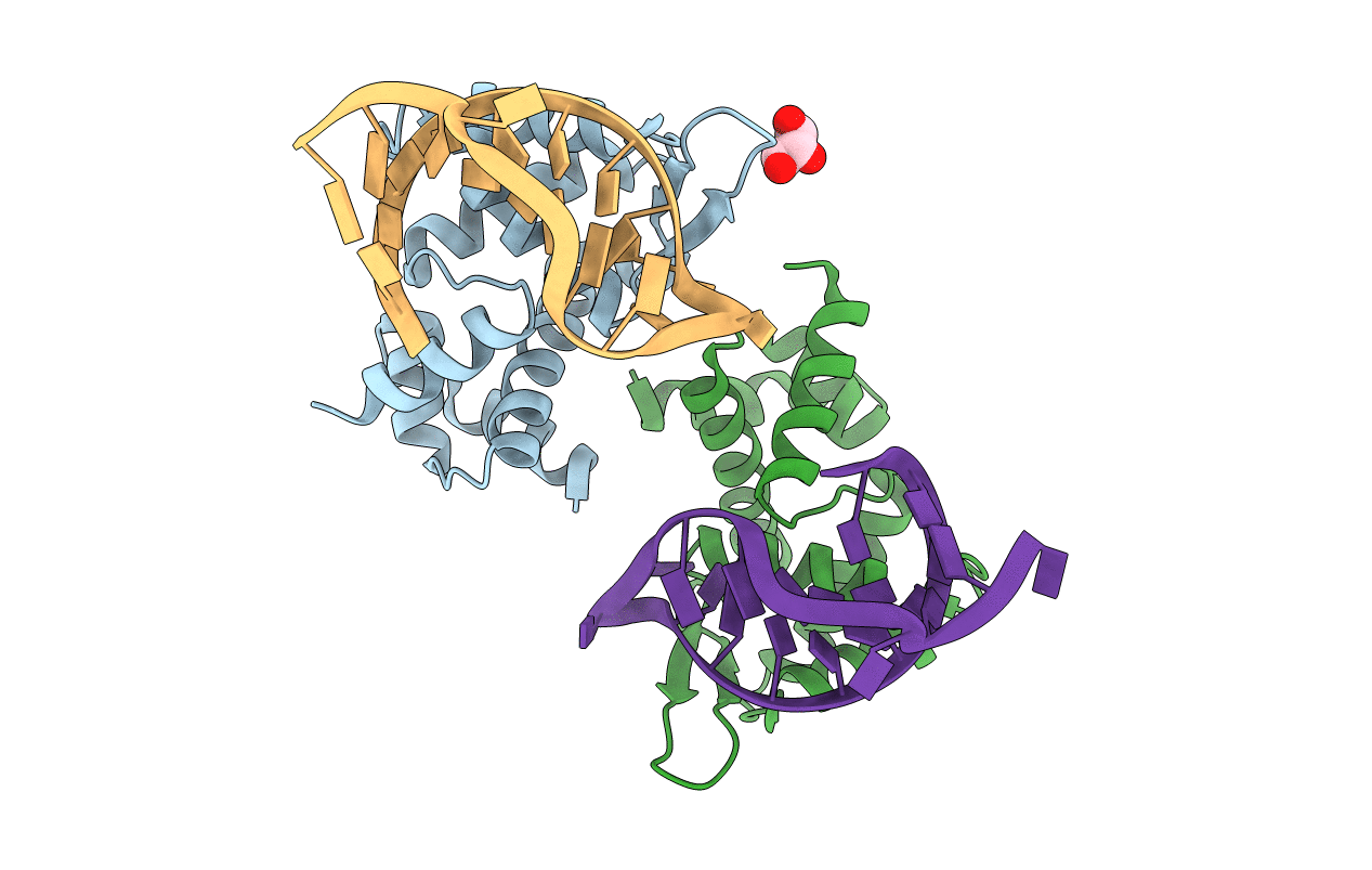 5F5H image