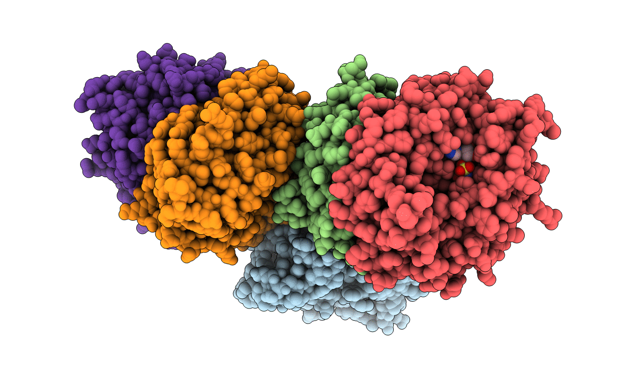 5F5W image
