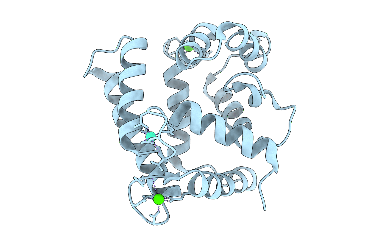 5F6T image