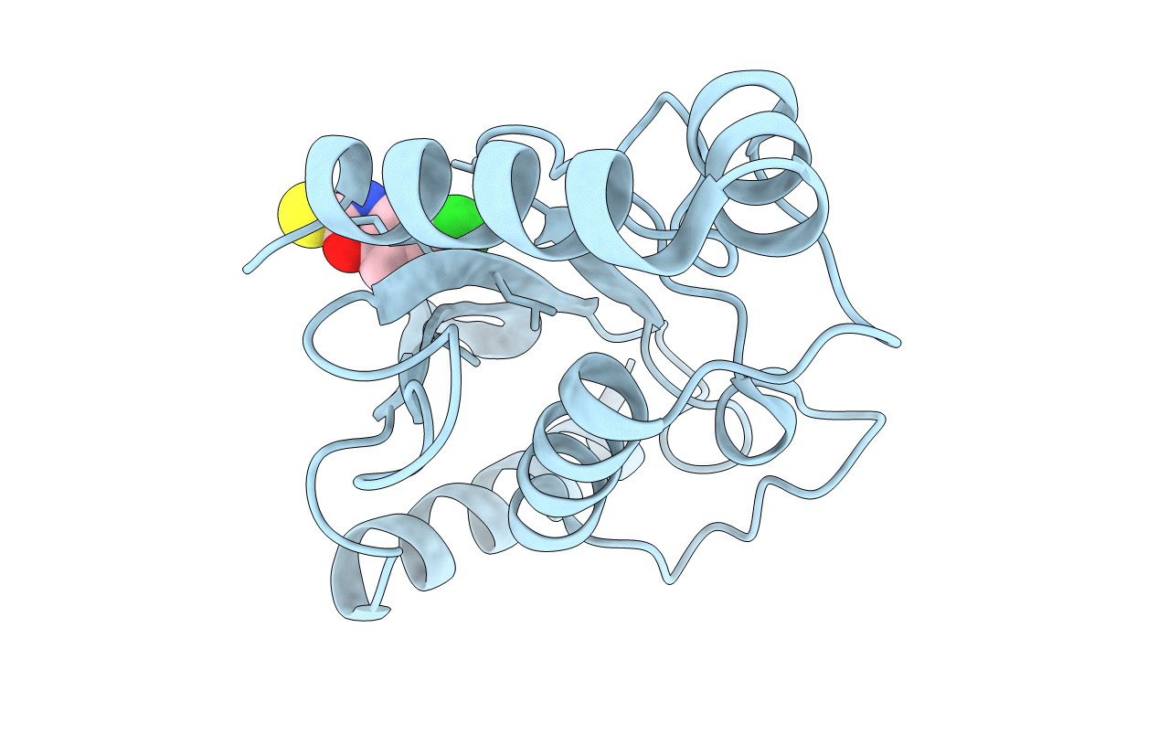 5F6X image