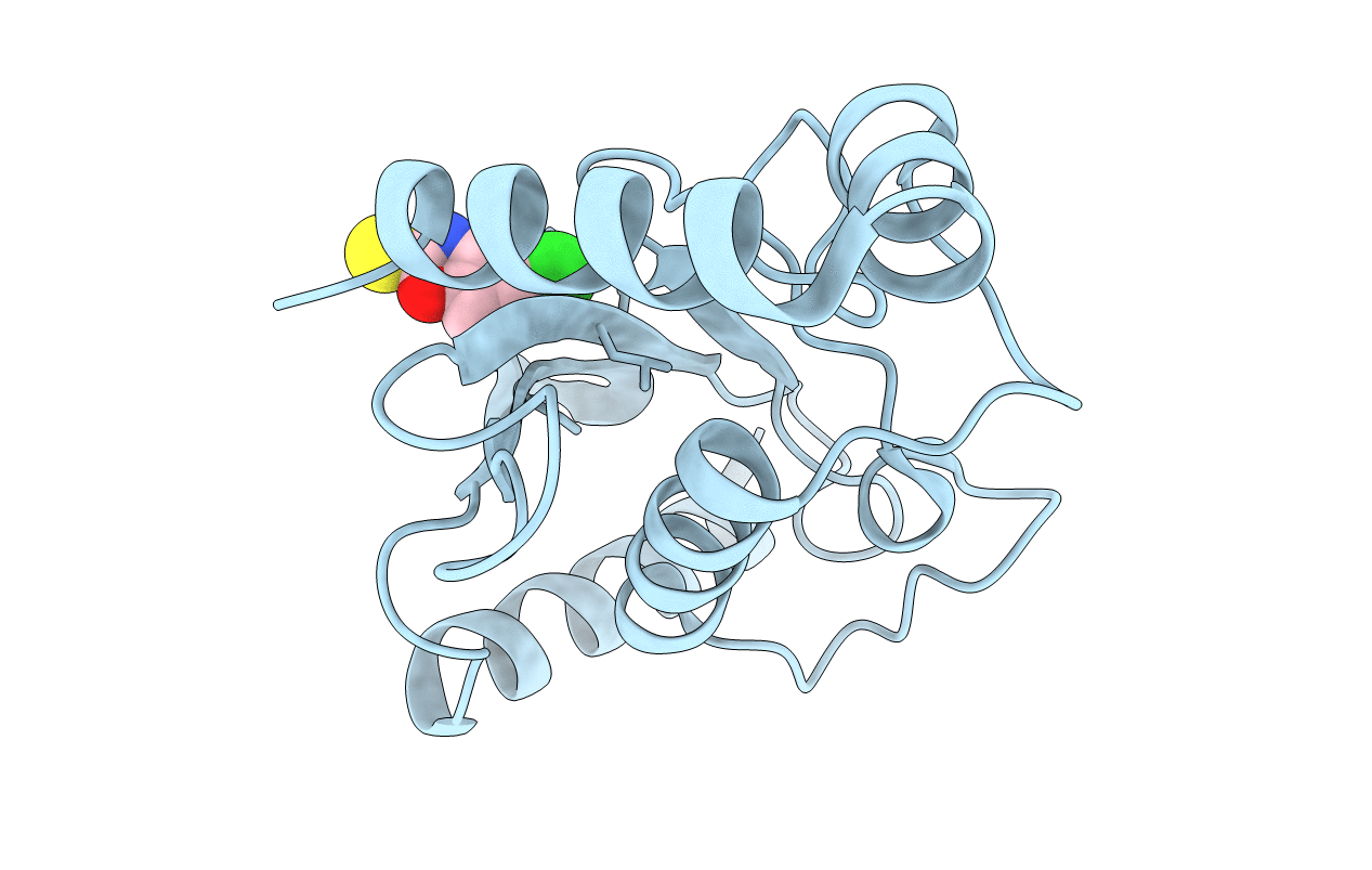 5F6Y image