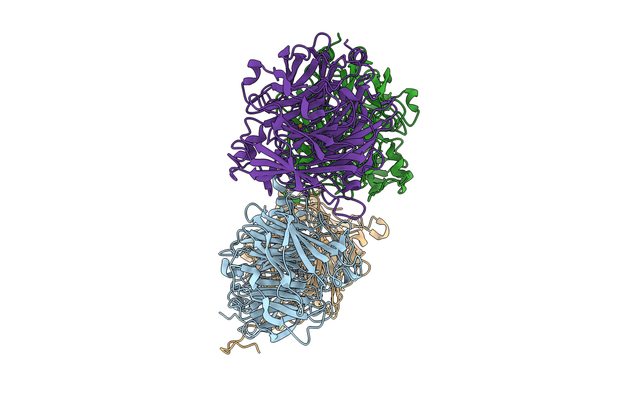 5F75 image