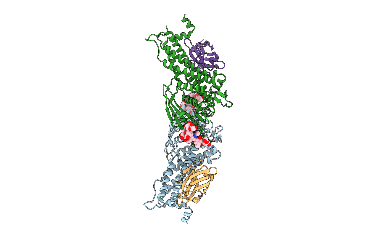 5F7W image