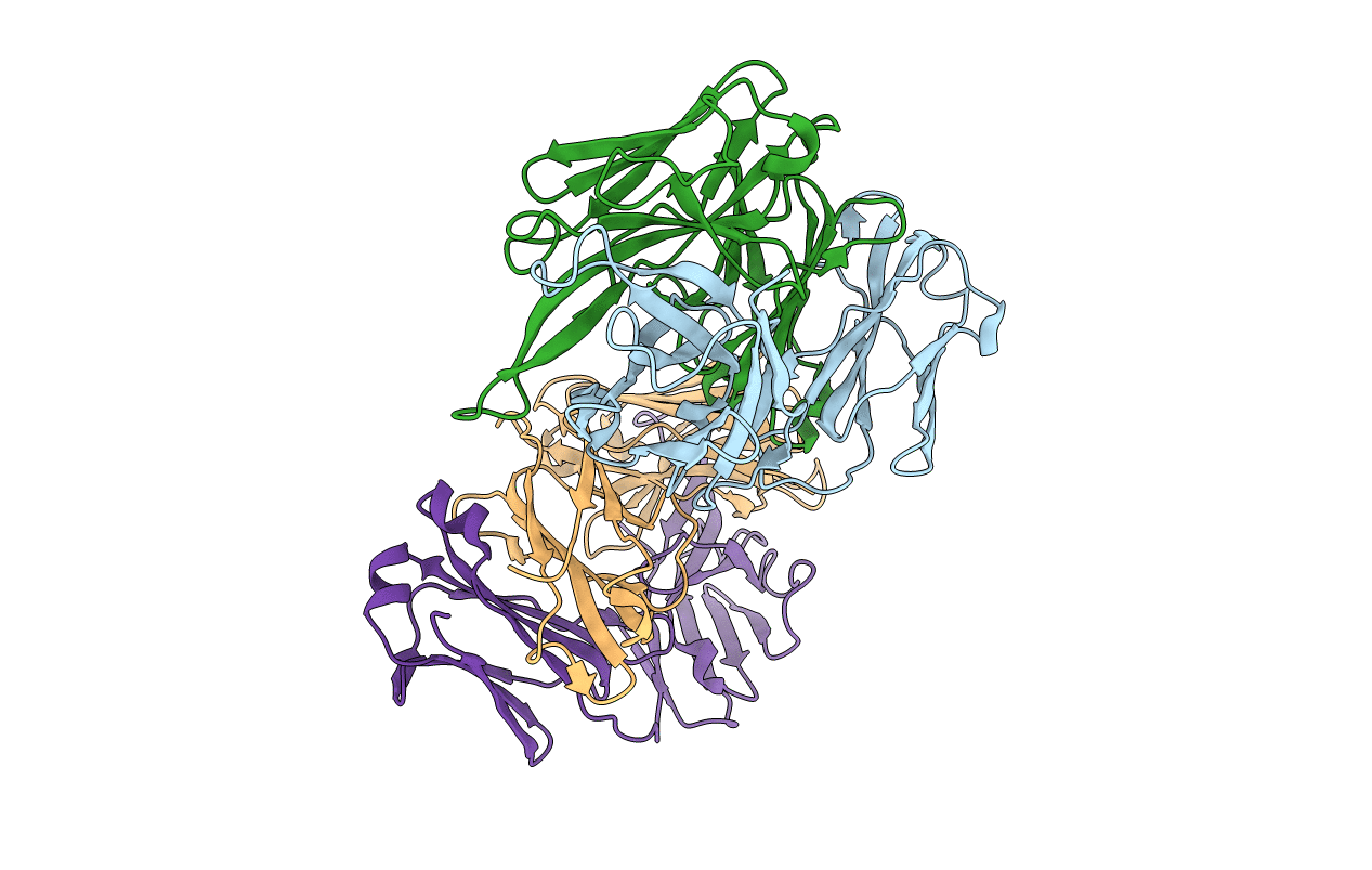 5F89 image
