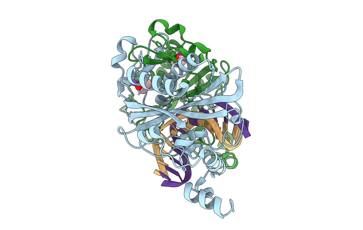 5F8A image