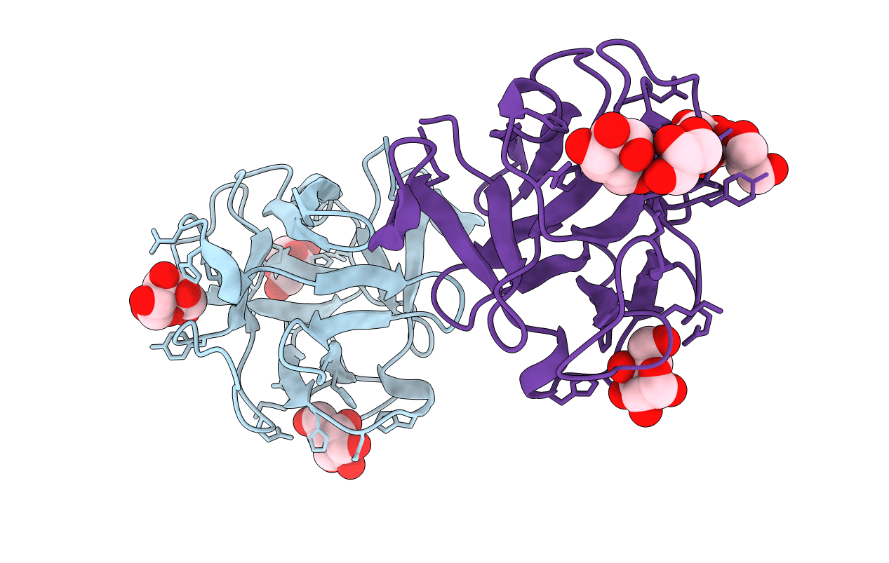 5F8W image
