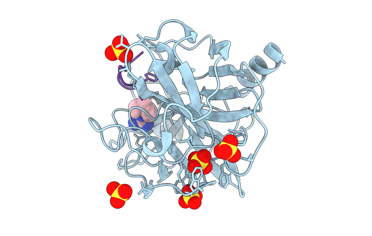 5F8Z image