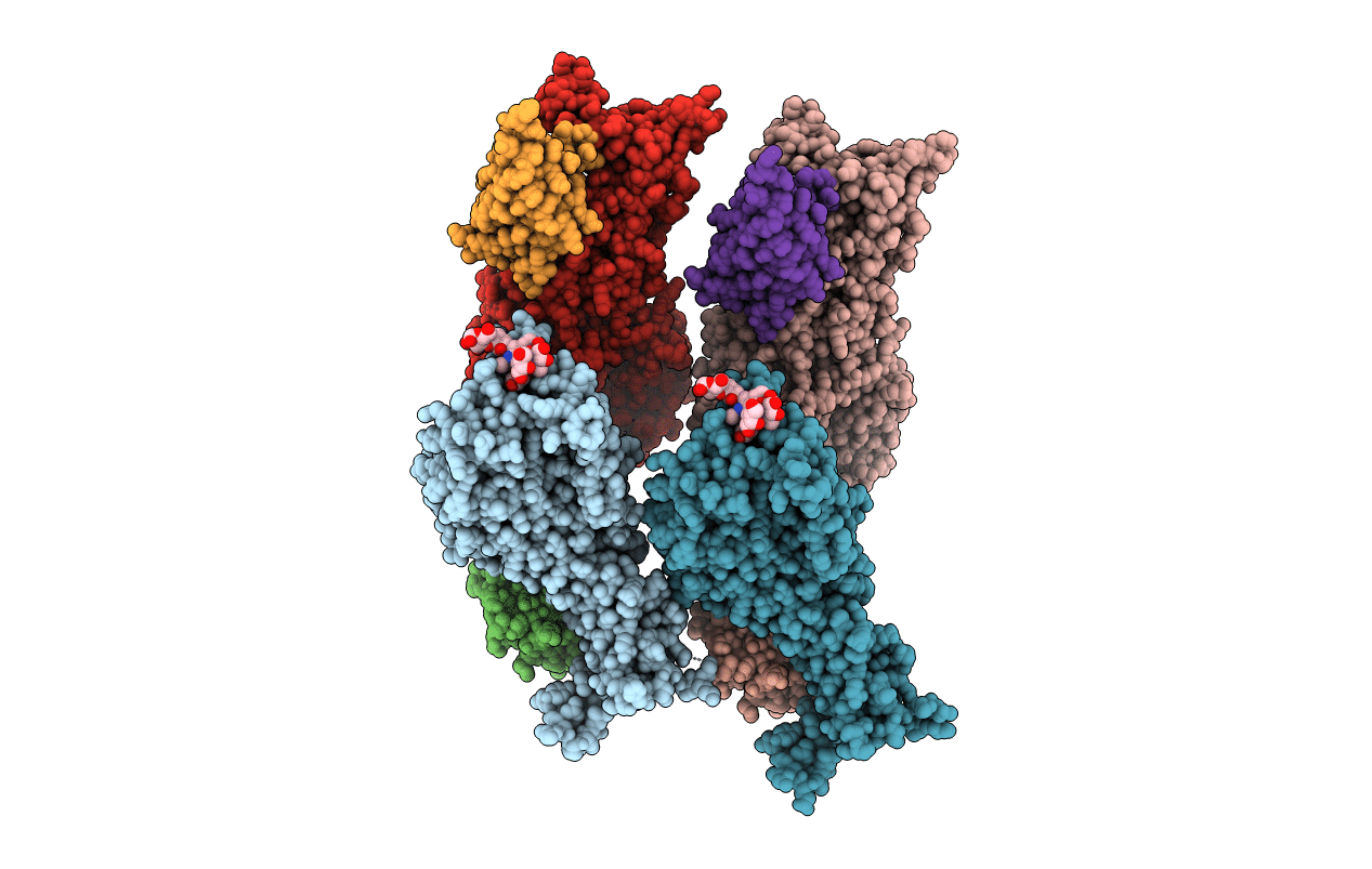 5F93 image