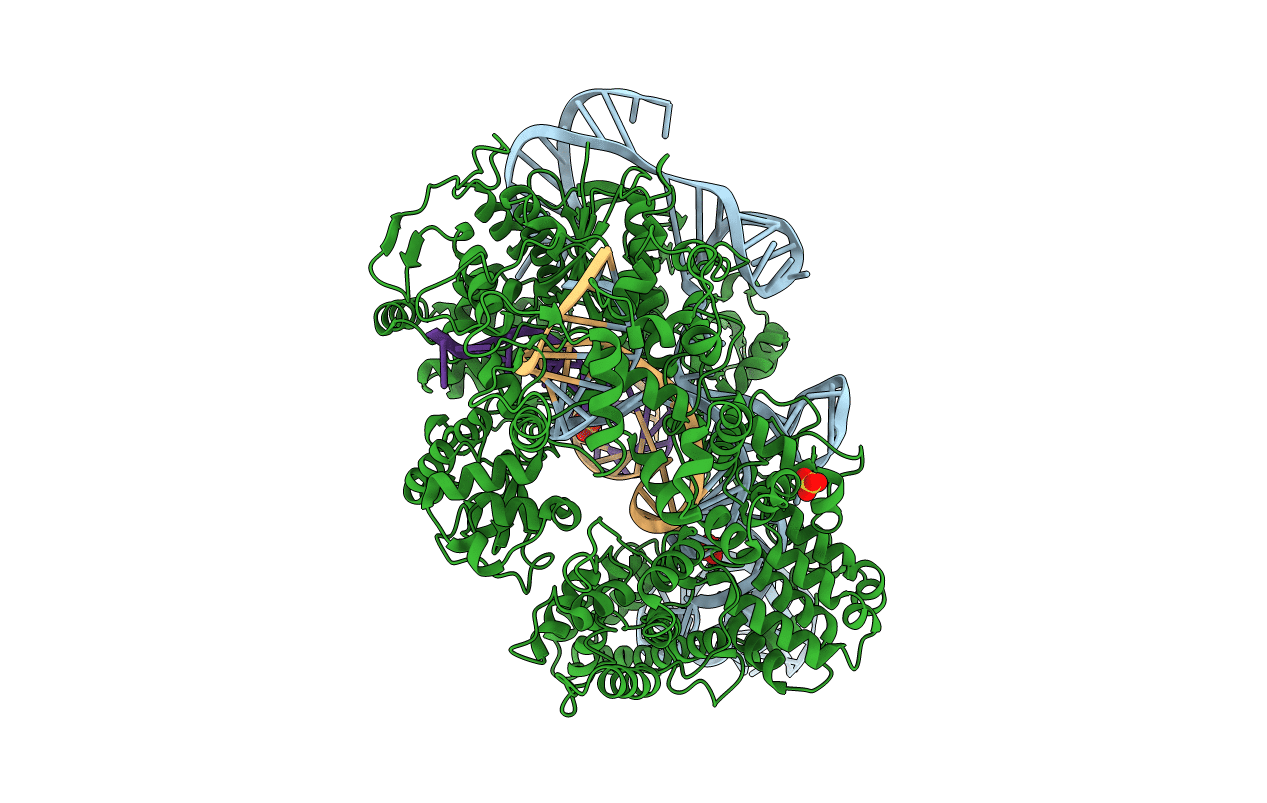5F9R image