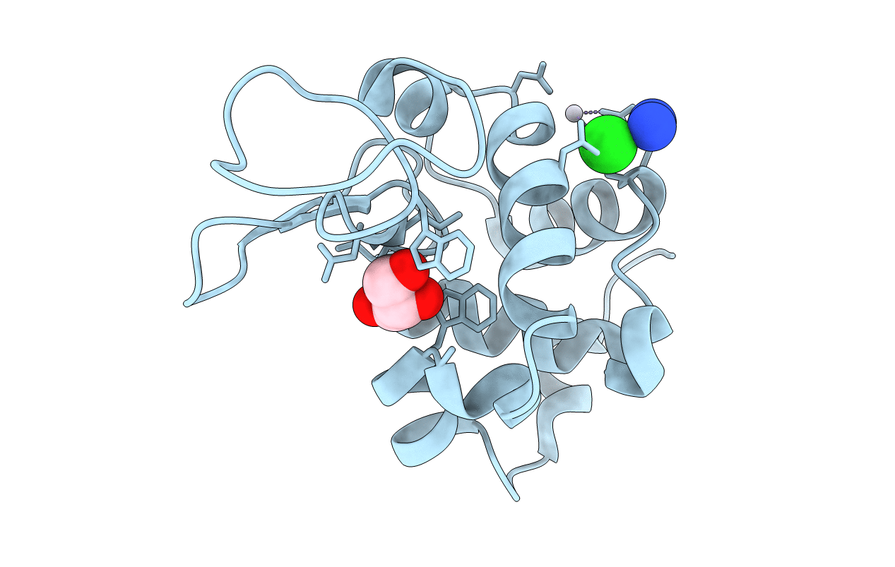 5F9X image