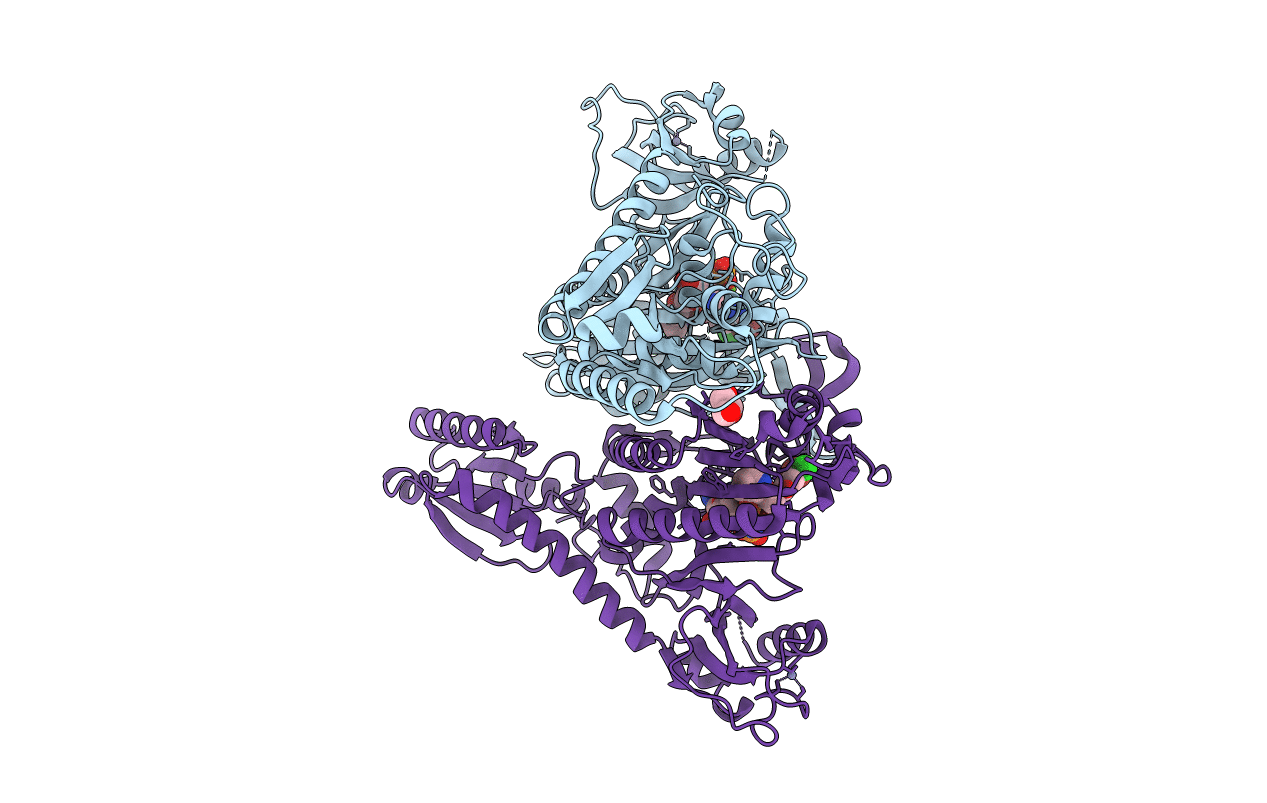 5F9Z image