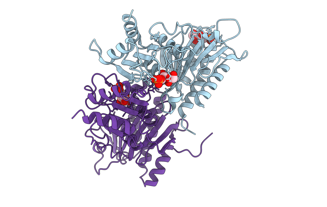 5FBP image