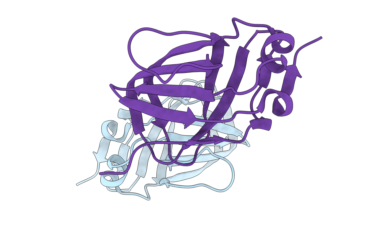 5FCE image
