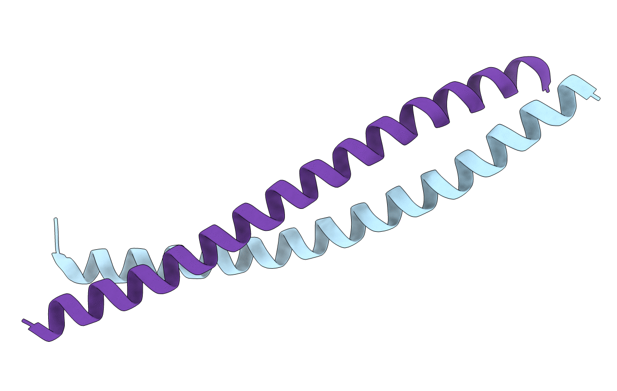 5FCN image