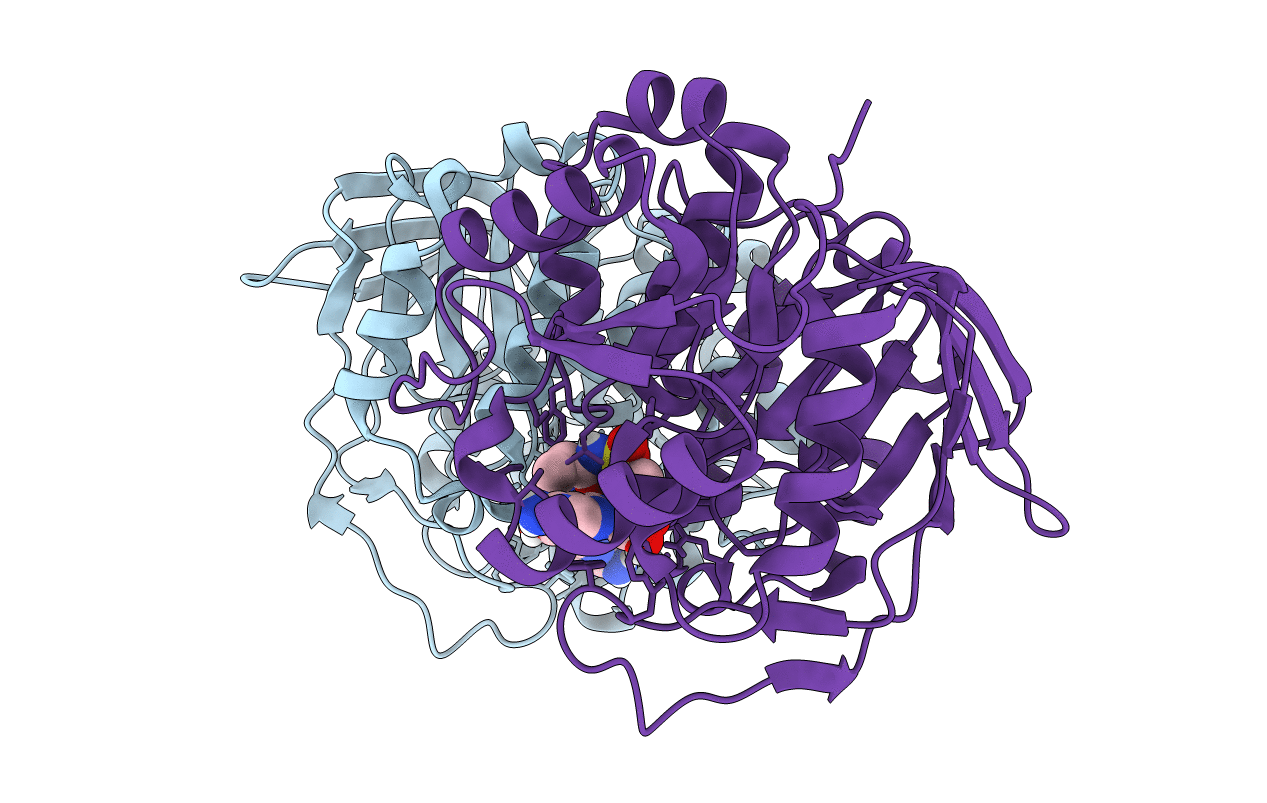 5FD8 image